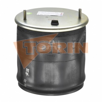 Molla pneumatica SAF 2919V