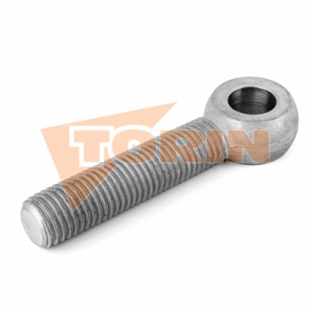 Eyebolt for manlid wing nut...