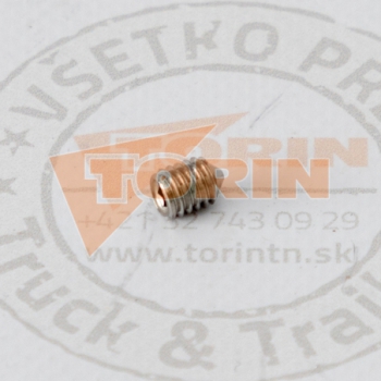 Grano FELDBINDER M6x8 mm