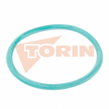 Guarnizione O-ring TW MK...