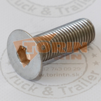 Šroub M16x50 mm zápustní...